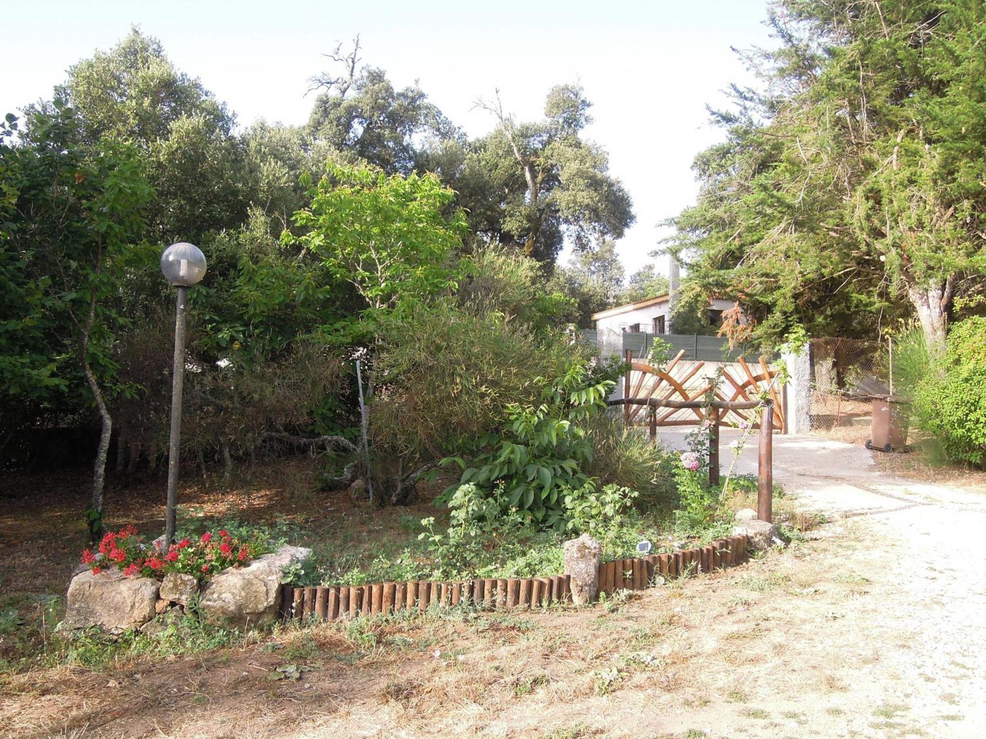 Casa Solotti Vendégház Nuoro megye Kültér fotó