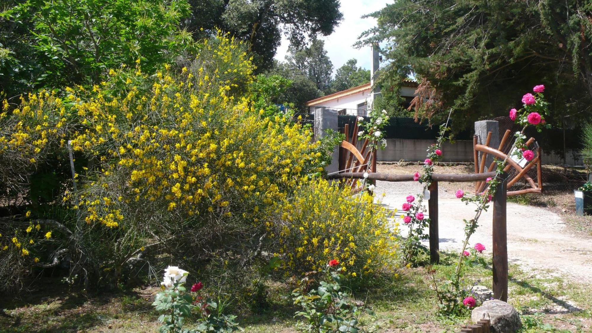 Casa Solotti Vendégház Nuoro megye Kültér fotó