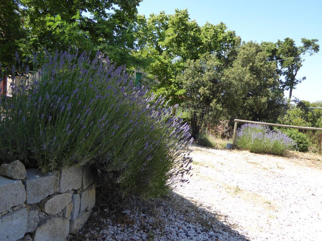 Casa Solotti Vendégház Nuoro megye Kültér fotó