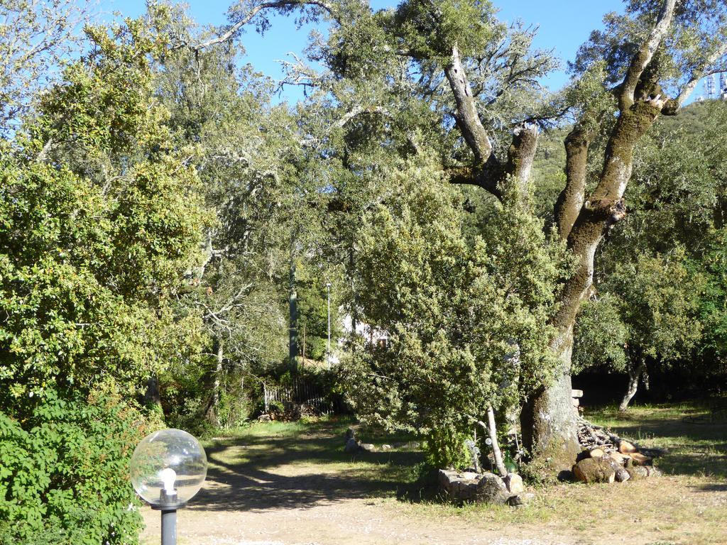 Casa Solotti Vendégház Nuoro megye Kültér fotó